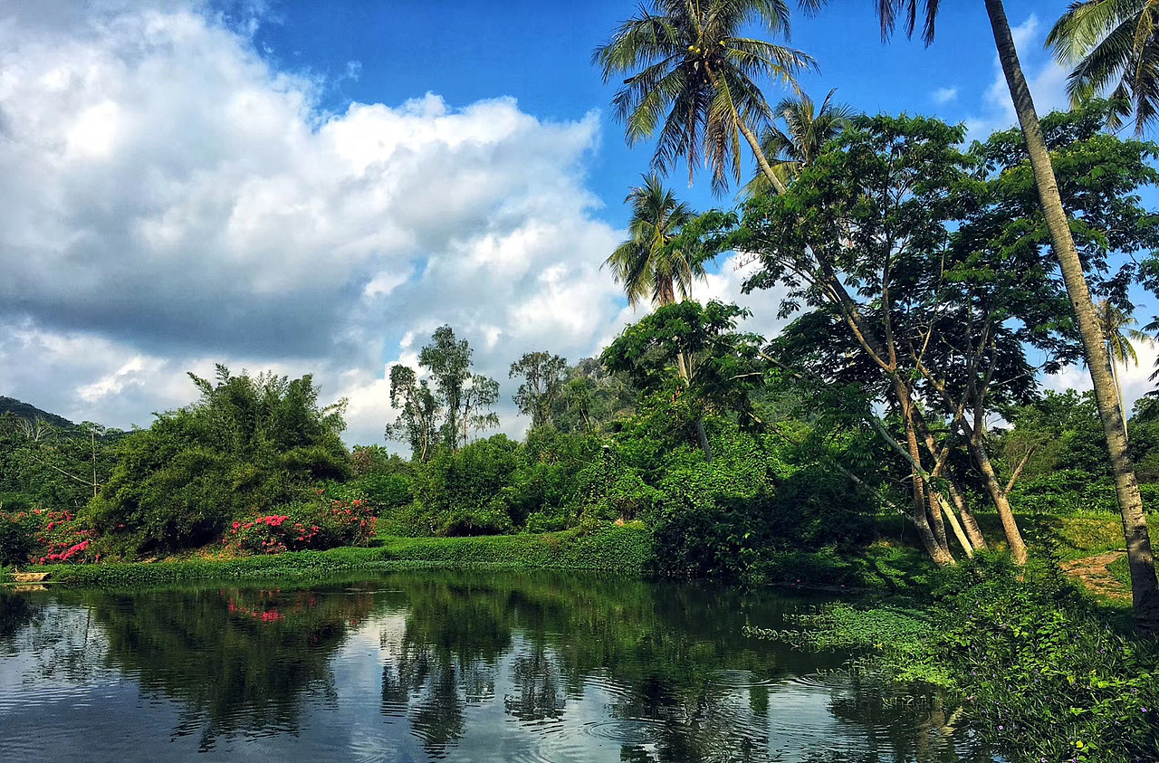 三亚学院（图ZMzE5OTcwMjA4） - 环境/建筑摄影 - 站酷设计师风君子8815原创素材 - 站酷ZCOOL