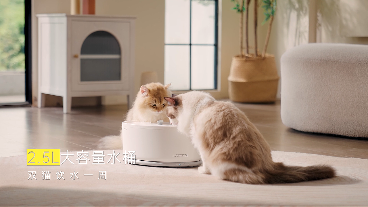 倍思 Lotis Y1 智能宠物饮水机