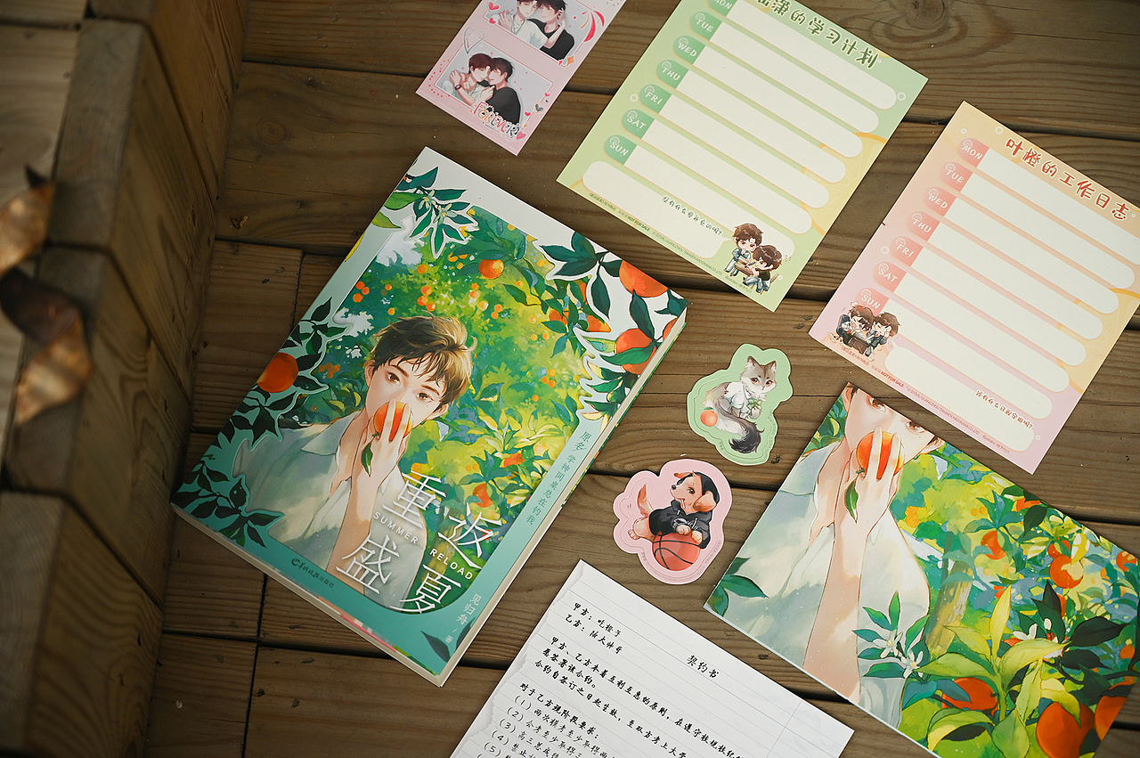 《重返盛夏》小说设计