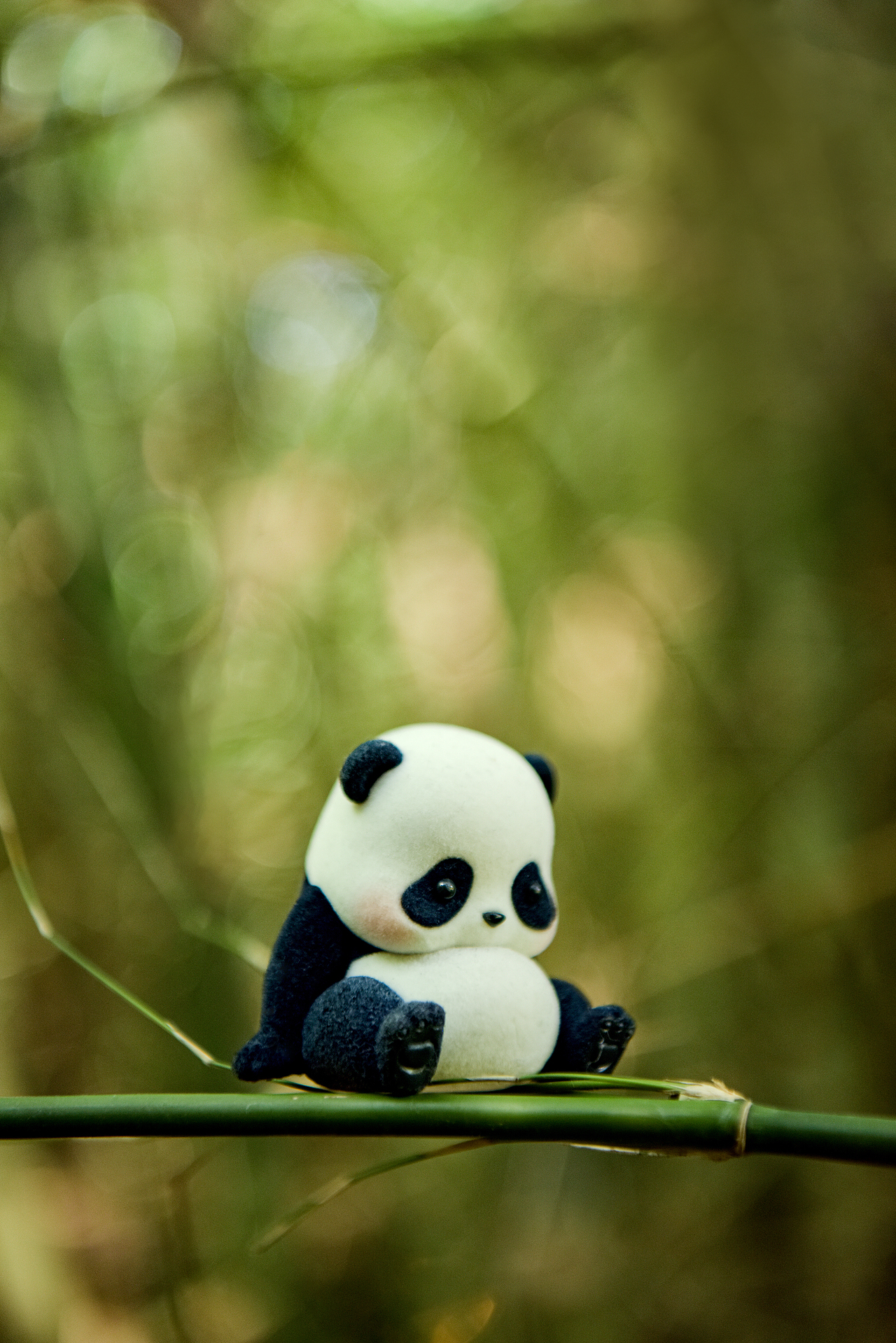 panda roll熊猫滚滚_evil7live-站酷zcool