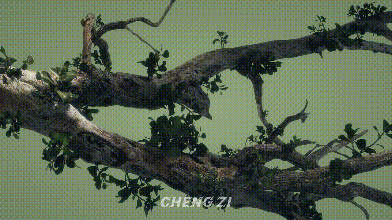 猫王音响动画