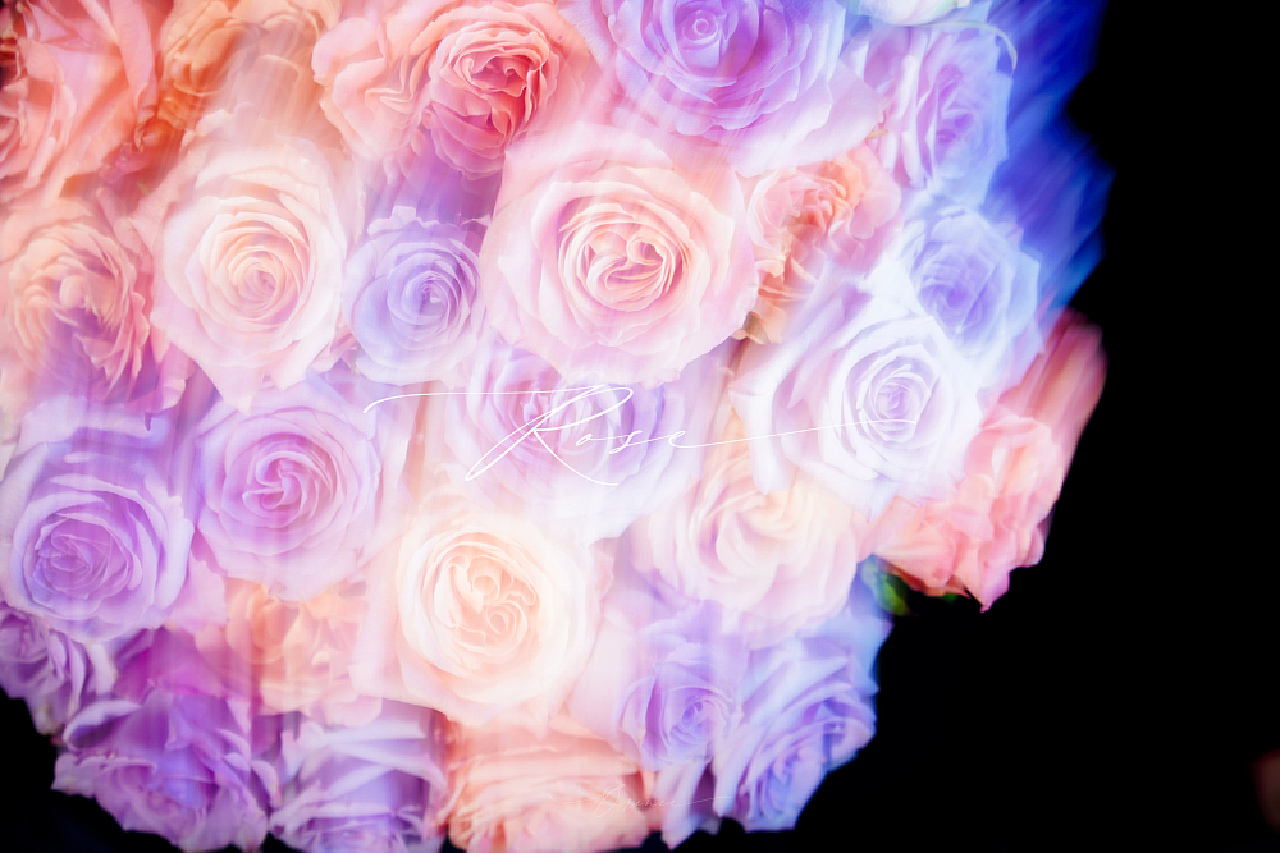 How I Met Your Mother La Vie En Rose Episode 玫瑰（La Vie en Rose）朱小姐+海洋之歌_拾光者Orince-站酷ZCOOL