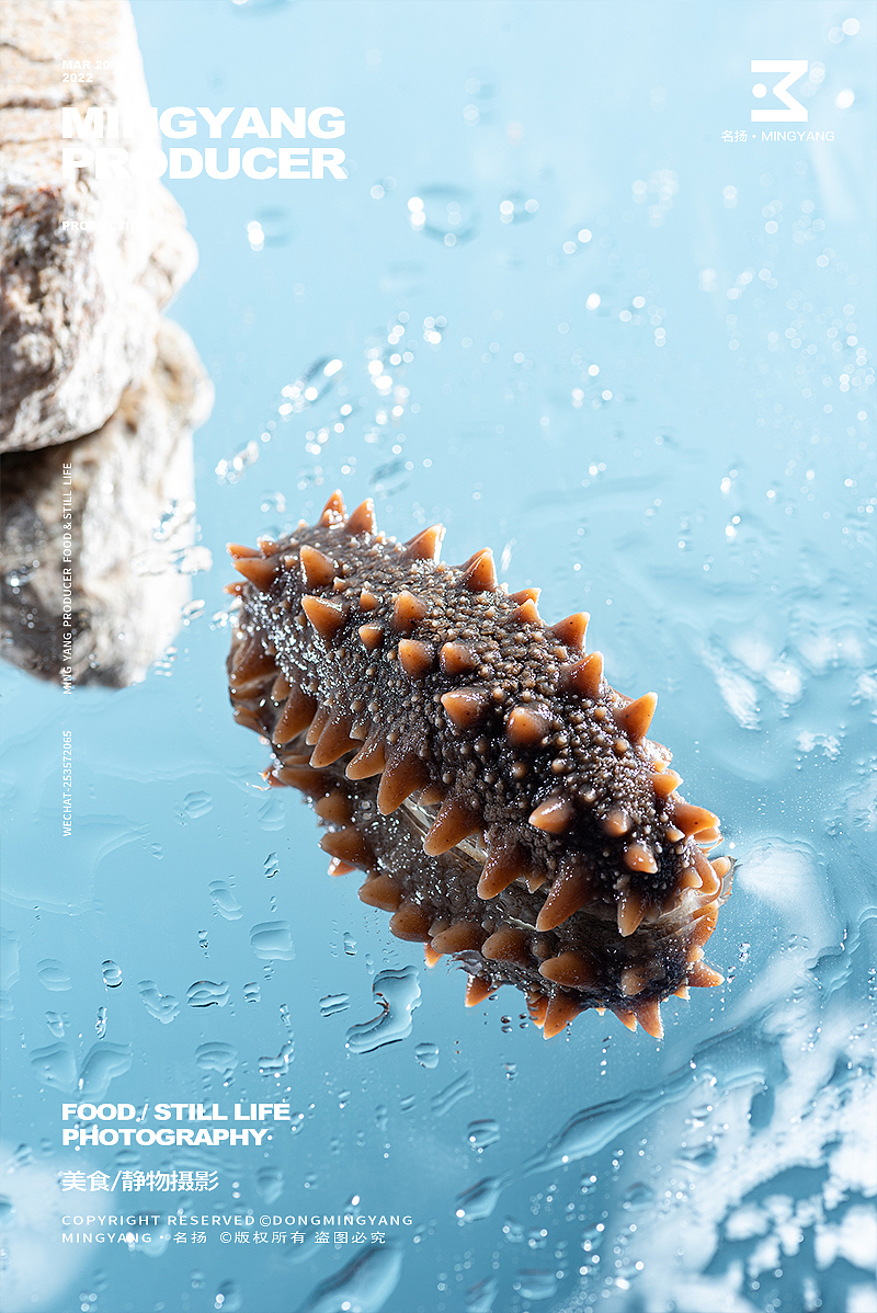 海参（图ZMzA2ODY0MzQ0） - 美食摄影 - 站酷设计师摄影师董名扬原创素材 - 站酷ZCOOL