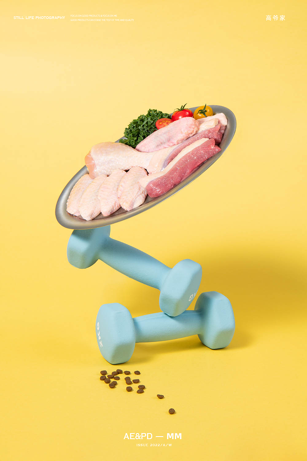 猫粮宠物食品摄影 I 高爷家 x LensVision摄影