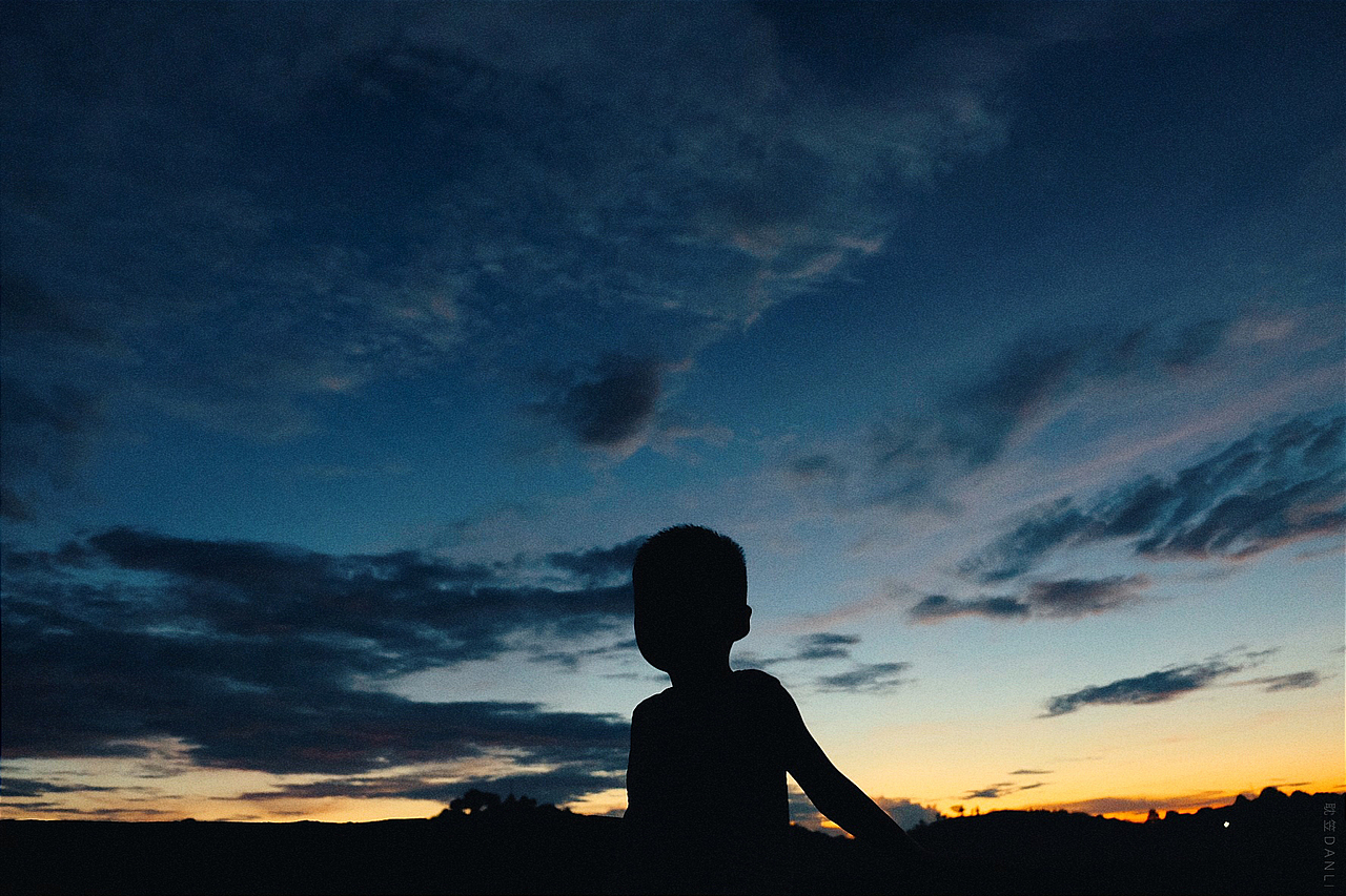 翱翔于空,落日剪影 | 摄影