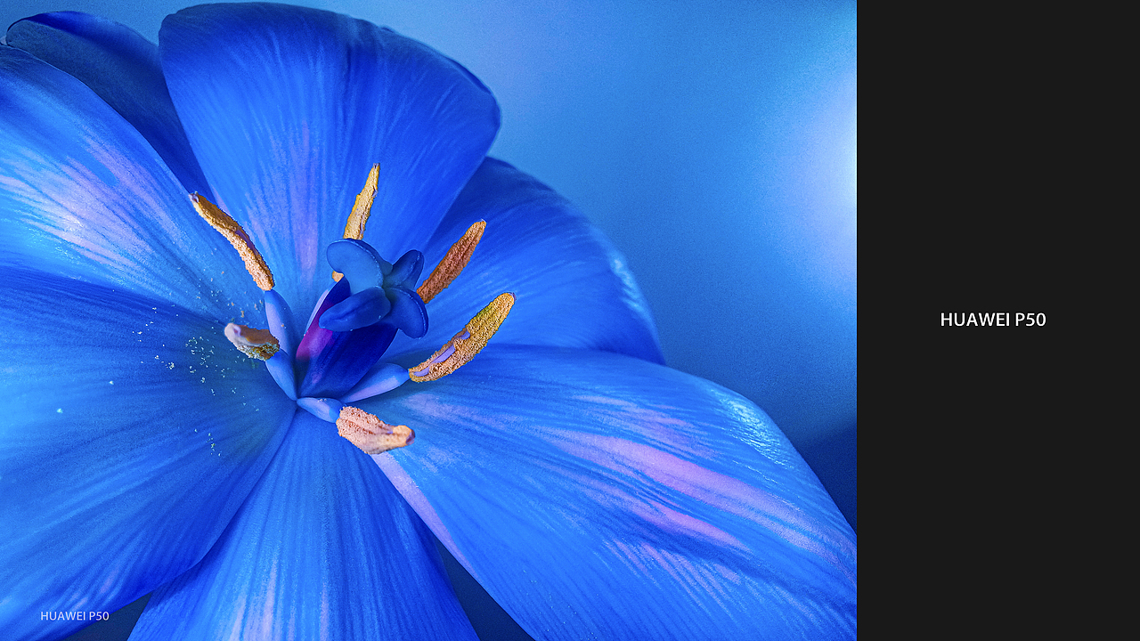 华为P50海外版手机样张拍摄