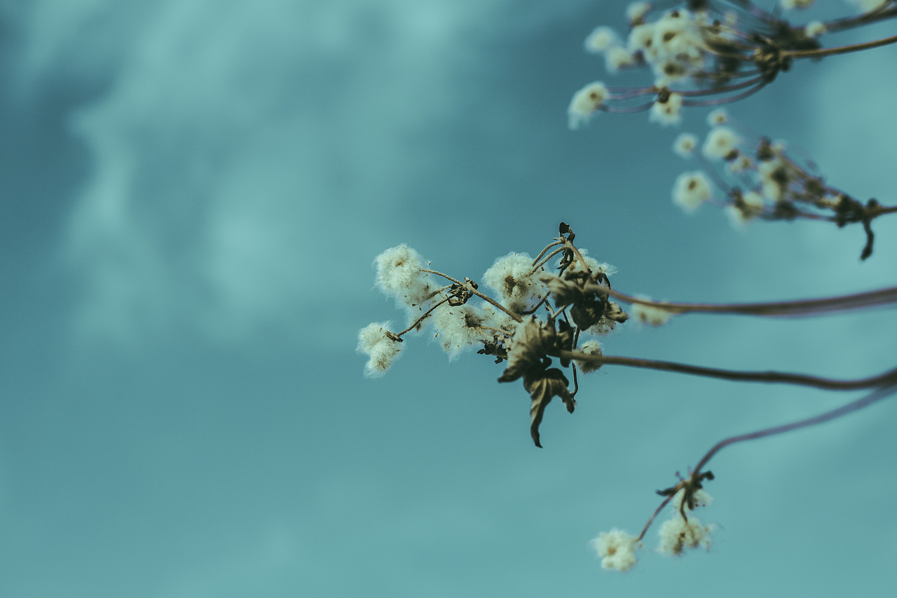 2020年作品—甘肃老家—静待春来