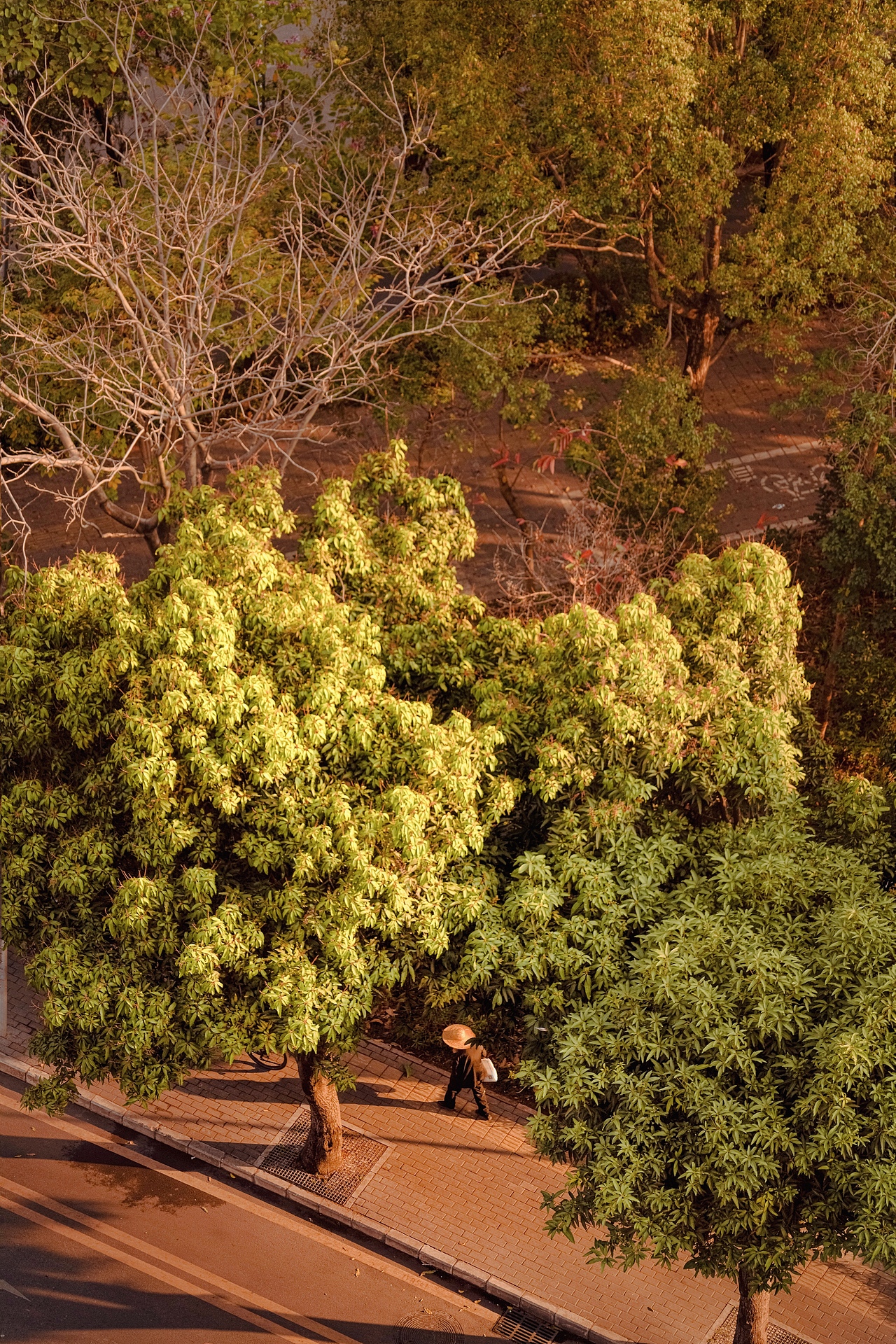 重庆旅拍纪实,每个人心中都有一束光