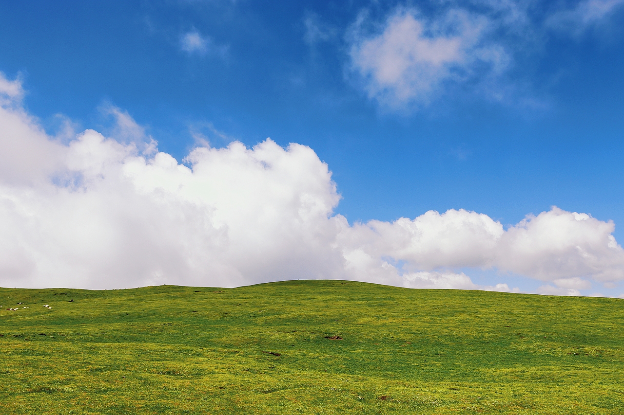 夏日的青海湖&草原（图ZMzU5ODg0MzMy） - 风光摄影 - 站酷设计师JSky_猫原创素材 - 站酷ZCOOL