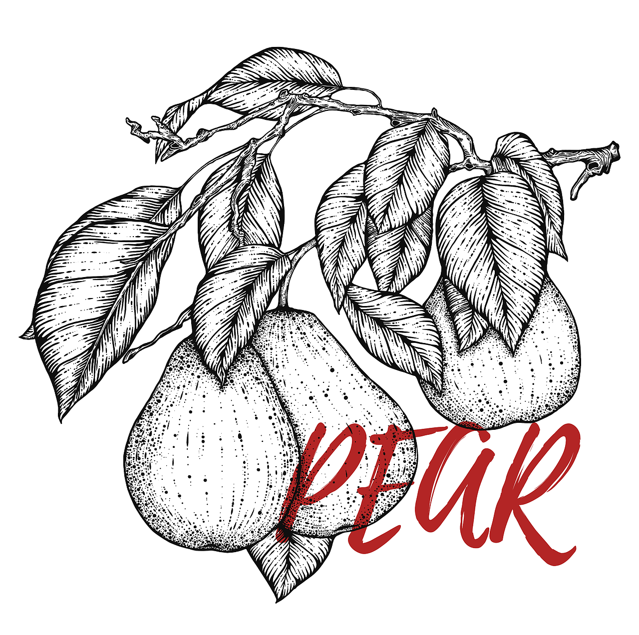 FRUIT-水果版画包装设计（图ZMzE0OTM3MzUy） - 商业插画 - 站酷设计师阿凉ACOOL原创素材 - 站酷ZCOOL