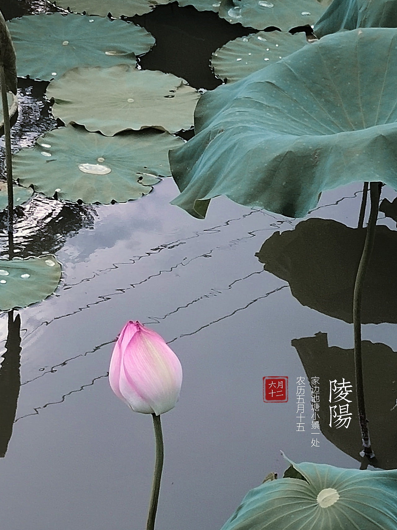 随拍（图ZMzIwOTA2MDA0） - 风光摄影 - 站酷设计师小芒果逗原创素材 - 站酷ZCOOL