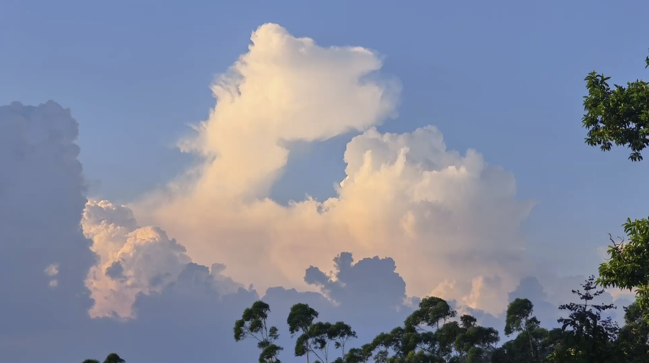 我的华为App玩机攻略频道:延时摄影模式|晤对科技