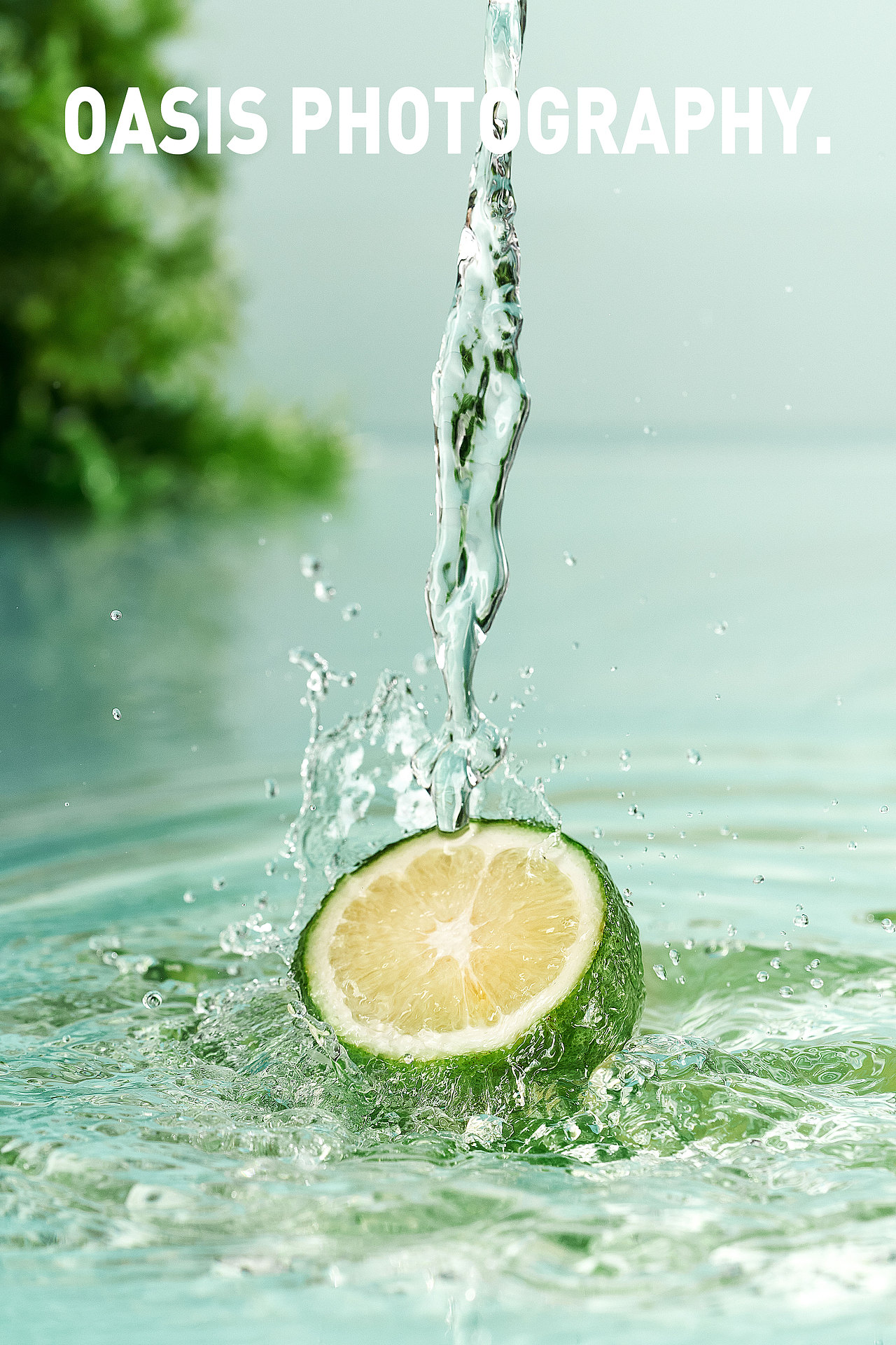 茉莉奶白 x 茉莉柠檬茶（图ZMzA3MTY5OTI4） - 美食摄影 - 站酷设计师绿洲城颜究所原创素材 - 站酷ZCOOL