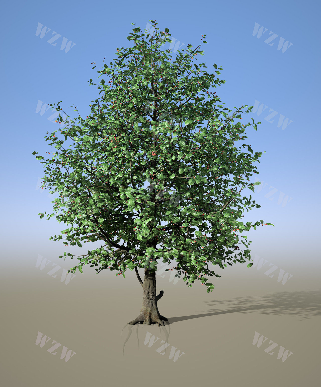 花草树木|SpeedTree|植物制作的阶段性成果展示（图ZMzYyOTY2MDcy） - 场景 - 站酷设计师旋律S原创素材 - 站酷ZCOOL