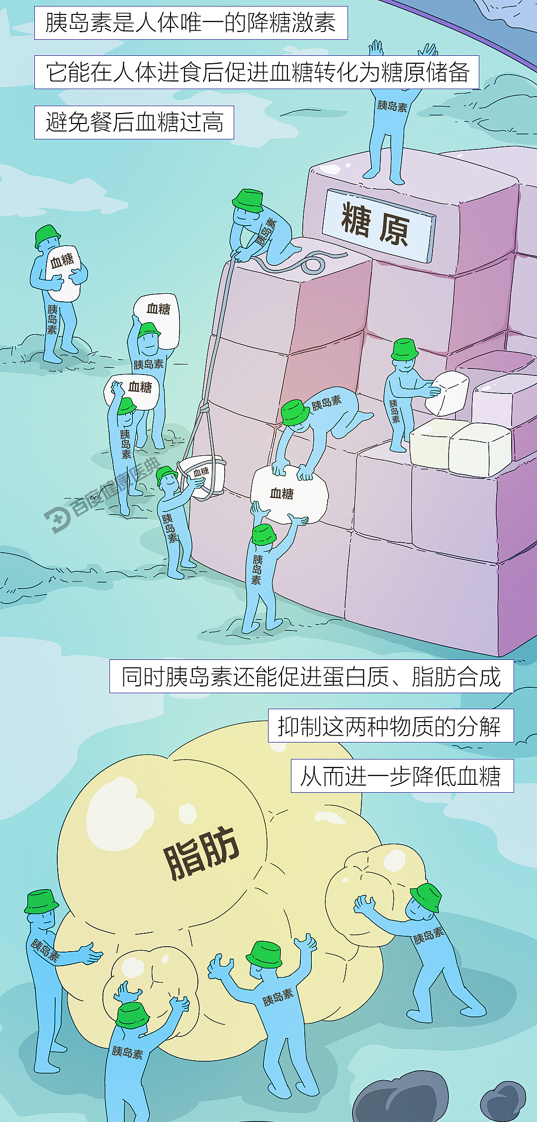 《百度健康医典:胰腺癌》条漫(健康科普)