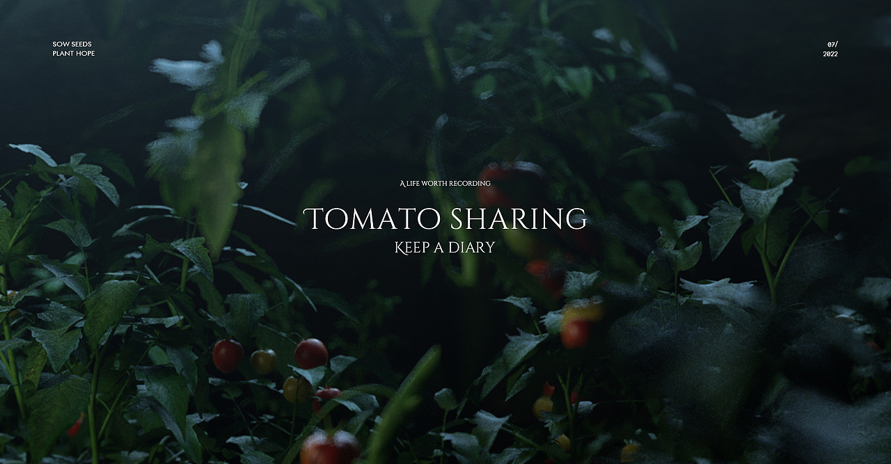 我的番茄园（图ZMzA5NTk0NTg4） - 场景 - 站酷设计师林大蛋原创素材 - 站酷ZCOOL