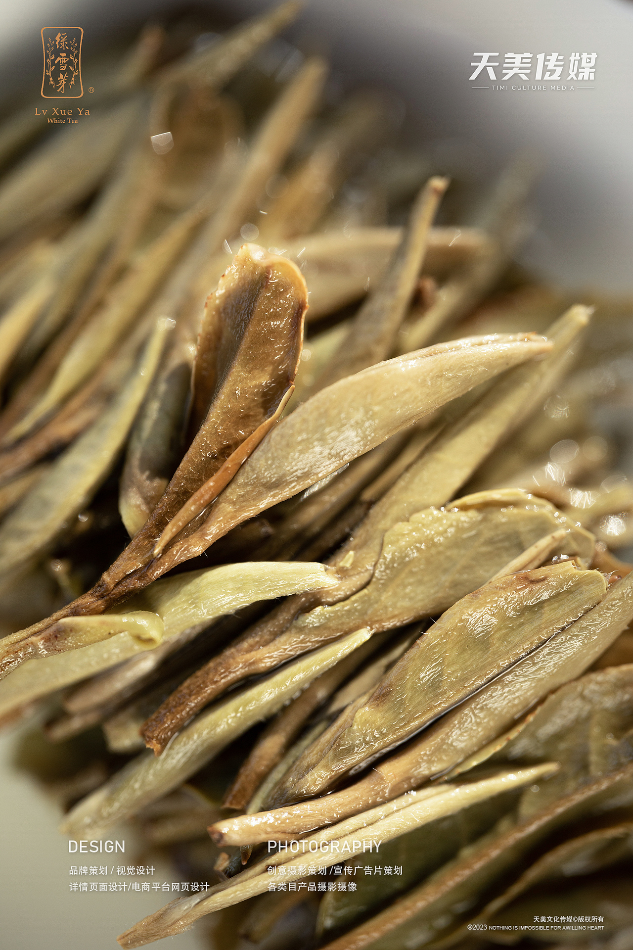 茶叶拍摄 茶叶摄影 福鼎白茶拍摄 茶叶视频拍摄 茶产品（图ZMzU0NjAwMDM2） - 产品摄影 - 站酷设计师福鼎天美文化传媒原创素材 - 站酷ZCOOL