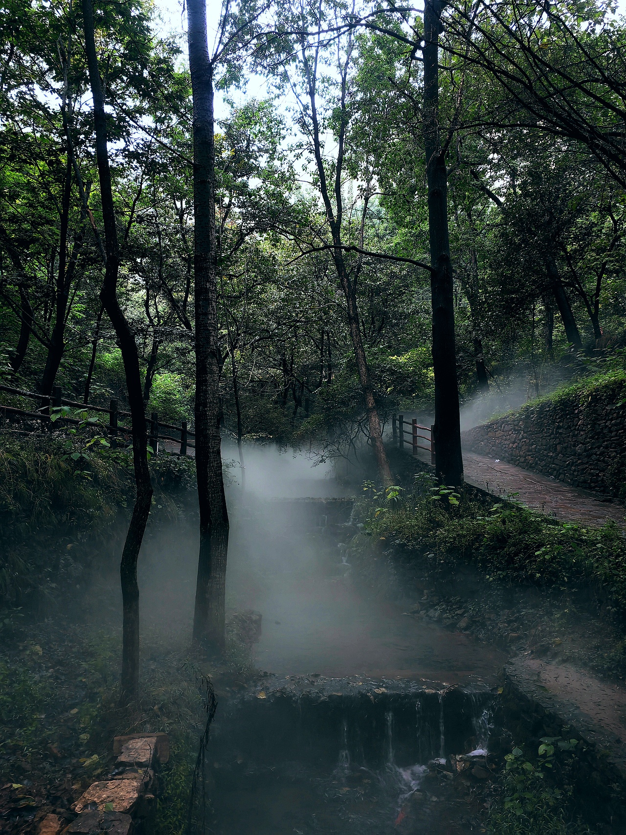 雨后山林（圖ZMzUyMzIwMzY0） - 風(fēng)光攝影 - 站酷設(shè)計(jì)師特別懶的tiger原創(chuàng)素材 - 站酷ZCOOL