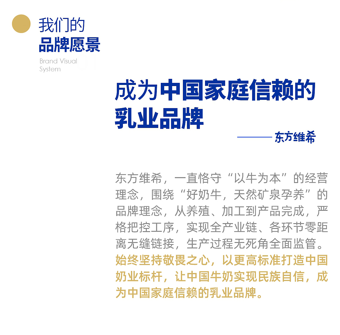 视维 × 东方维希 | 品牌全案设计案例