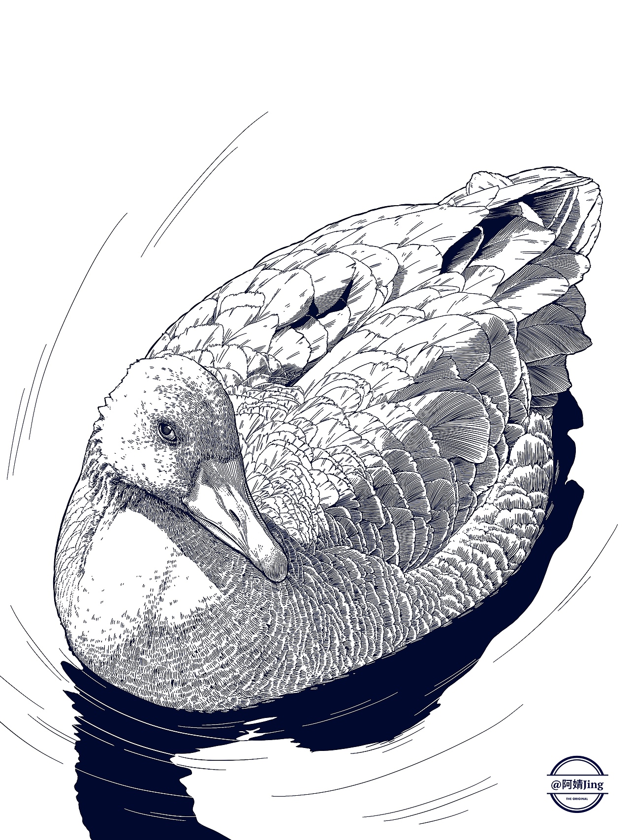 阿婧Jing | 2023年插画合集