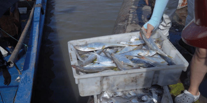 三門海碼頭|探訪記錄（圖ZMzA4NDQwNDcy） - 短片 - 站酷設(shè)計(jì)師絳的攝影日記原創(chuàng)素材 - 站酷ZCOOL