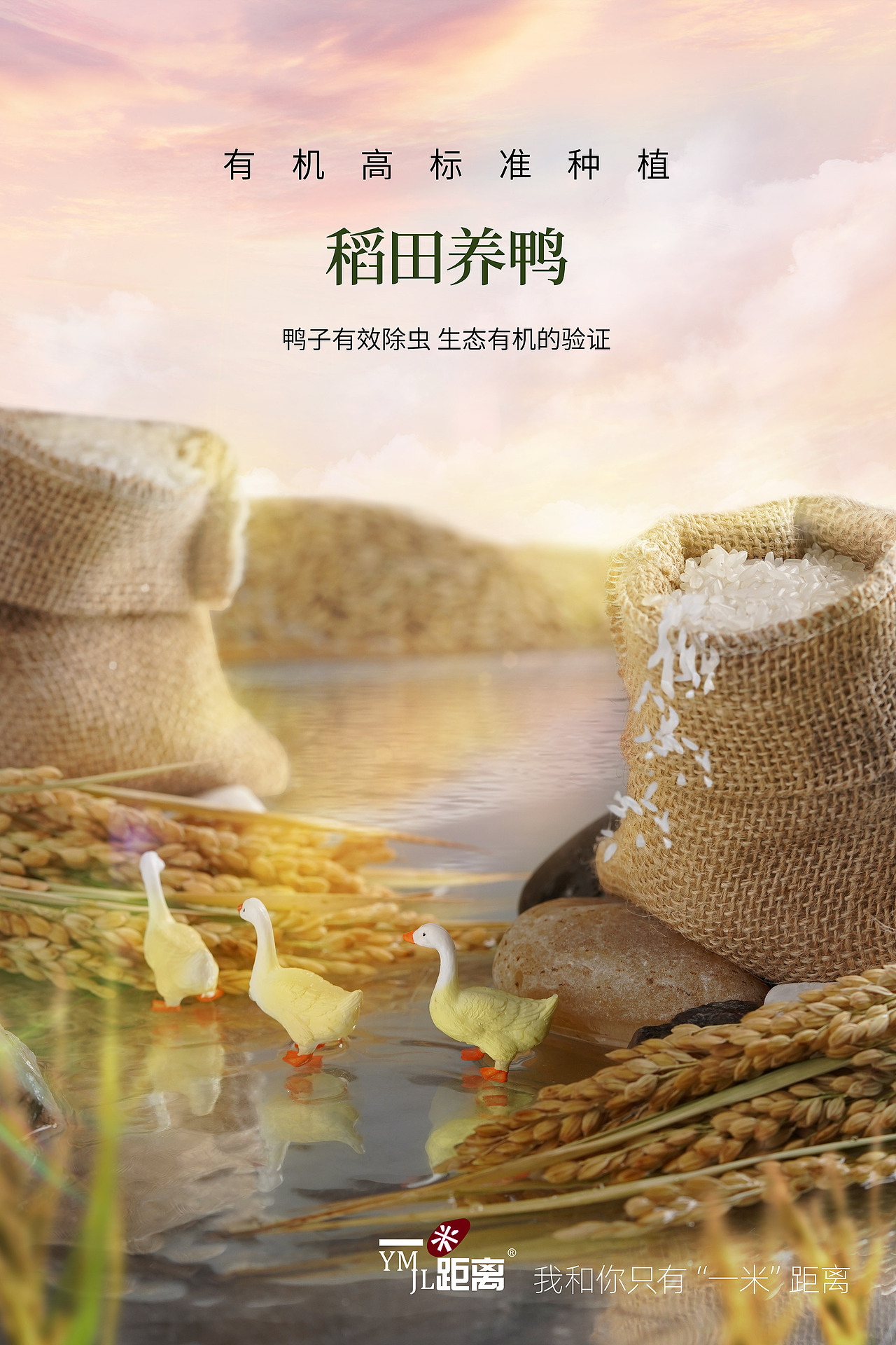 一米距离五常有机大米