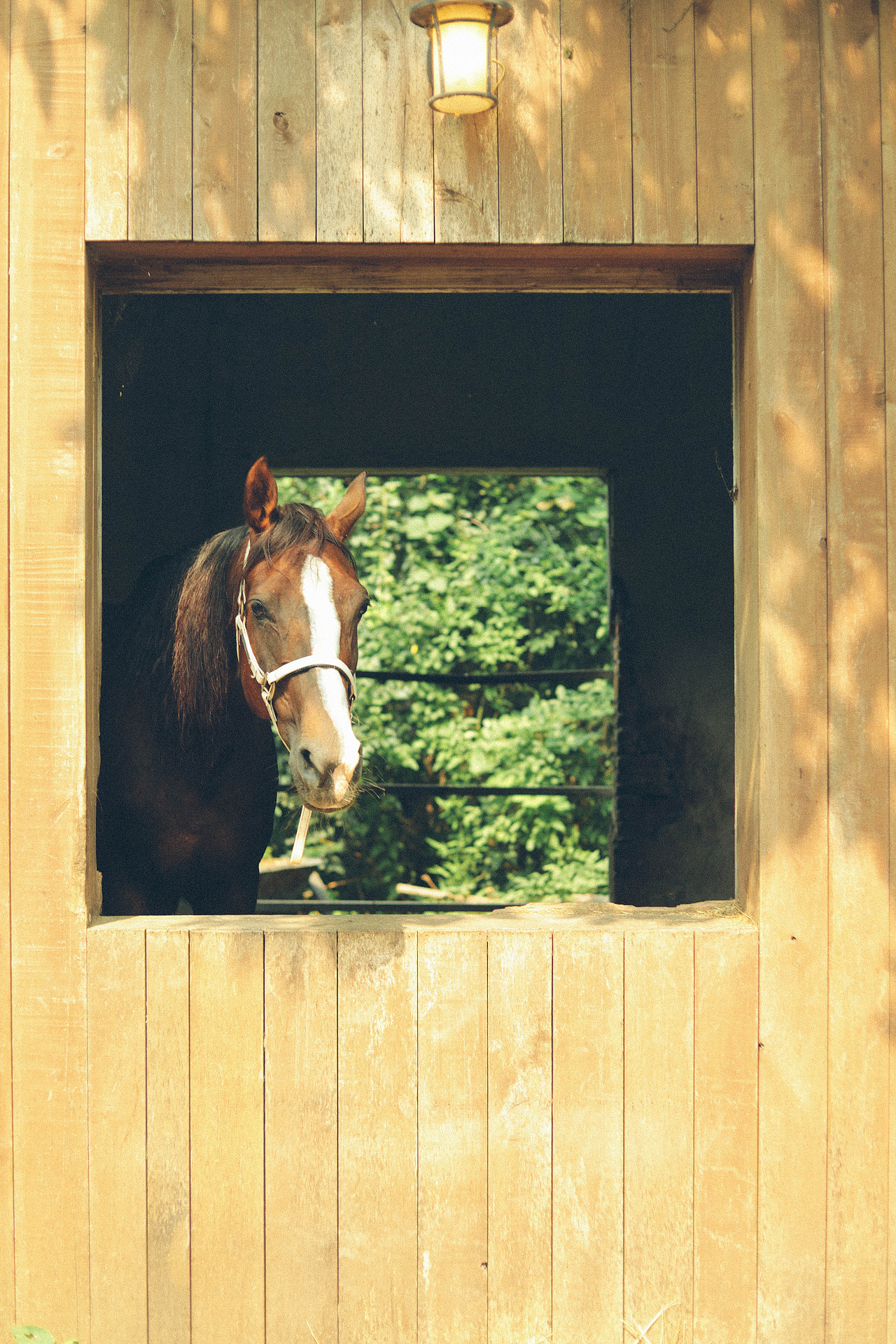 Summer Vibe（图ZMzQzMTg5NTQ4） - 人文/纪实摄影 - 站酷设计师木里MULI原创素材 - 站酷ZCOOL