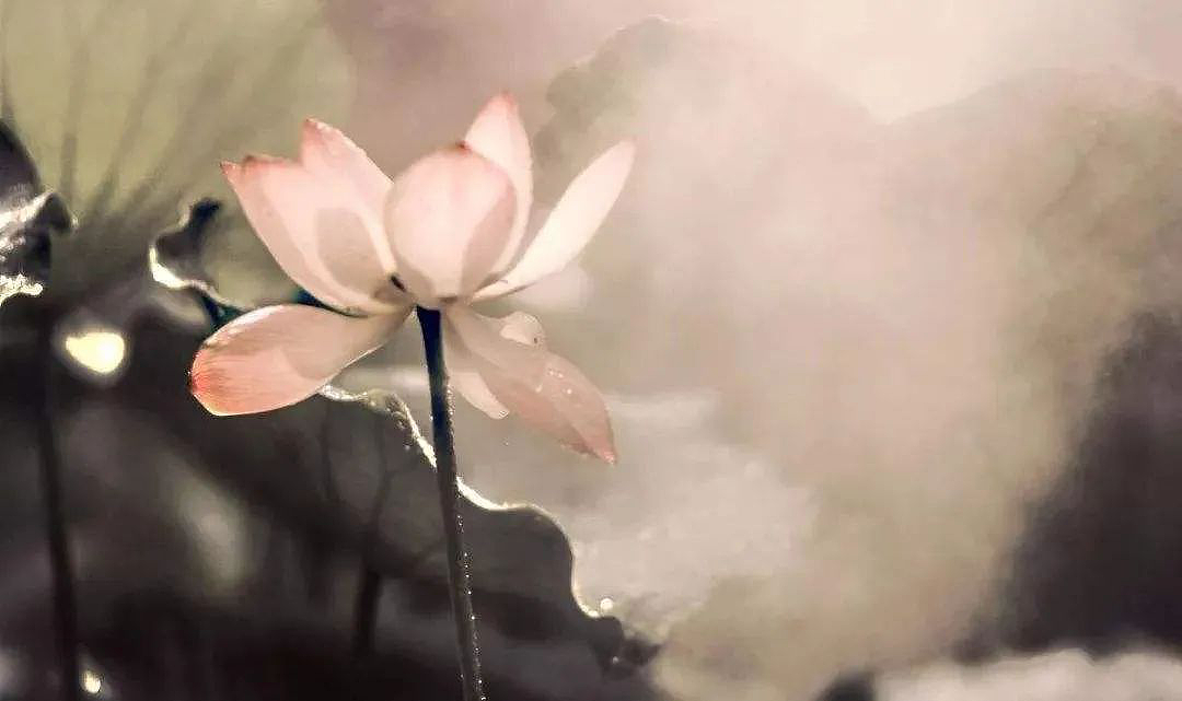 极富个性的混搭风是你想要的装修风格吗？