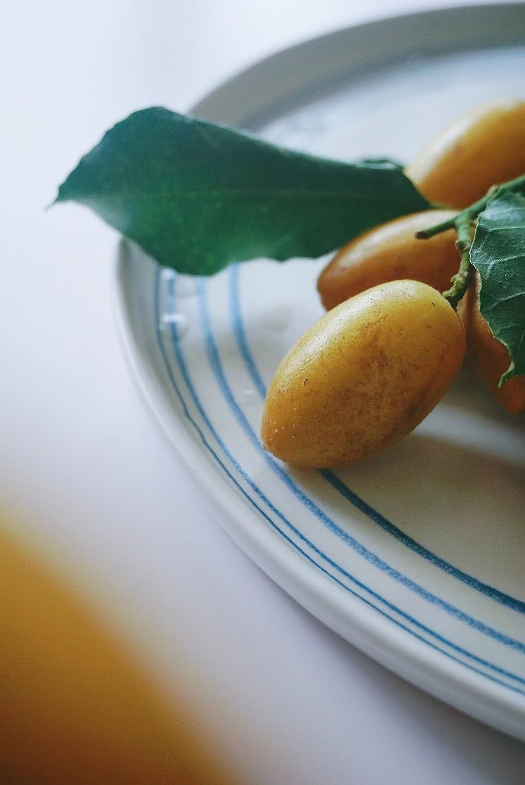 「黄皮」 “碧树历历金弹垂,膏凝甘露嚼来奇。”