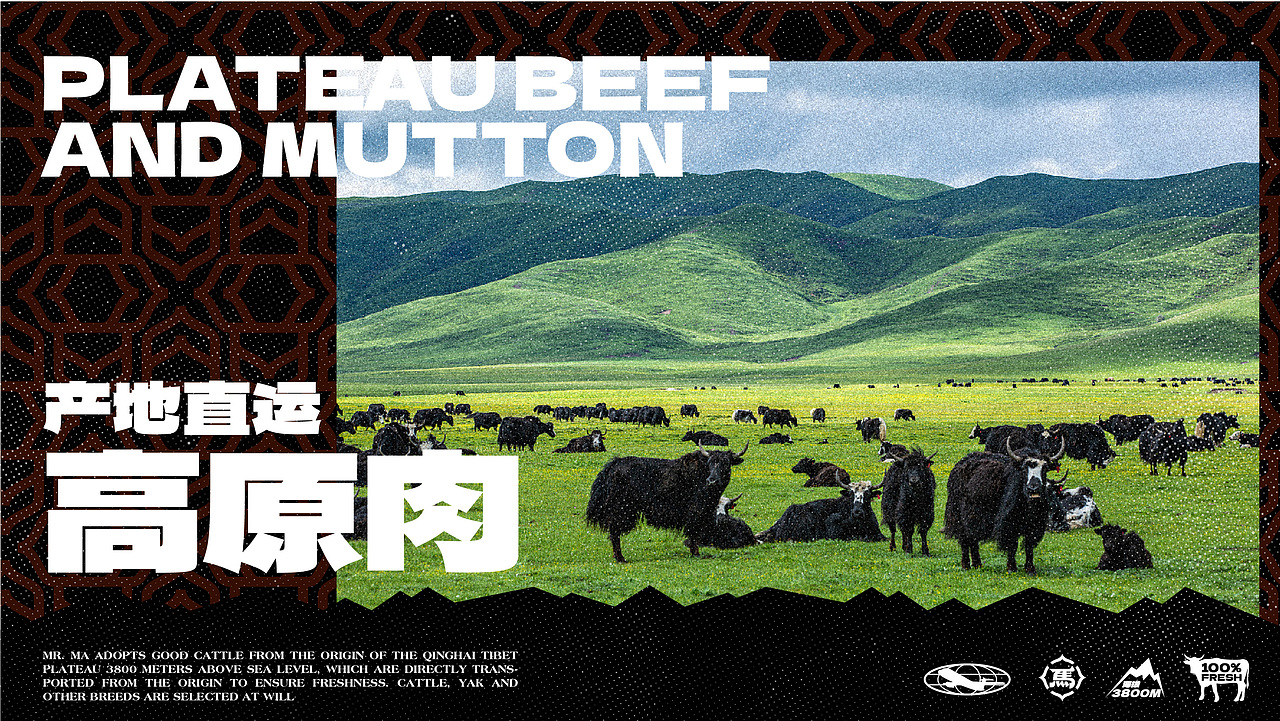【餐饮品牌】马小火·高原现卤牛肉拉面