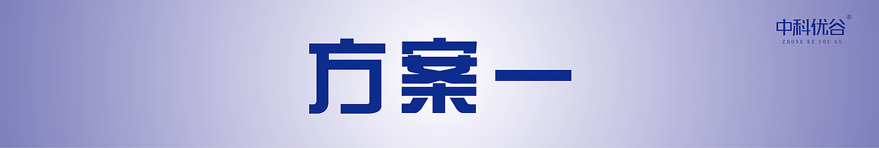 黑枸杞原浆 包装设计
