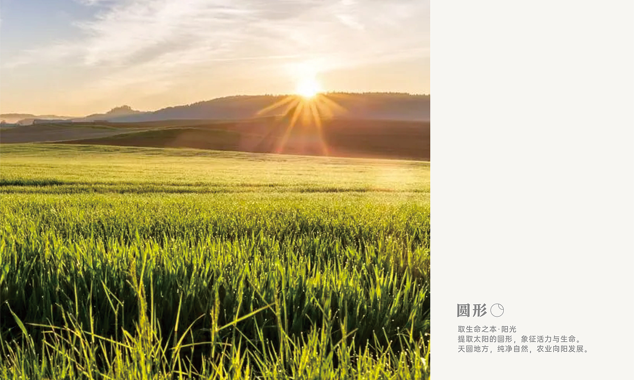 农业品牌LOGO视觉设计呈现（图ZMzQyNzg0NTg4） - 品牌 - 站酷设计师DEPU德普设计原创素材 - 站酷ZCOOL