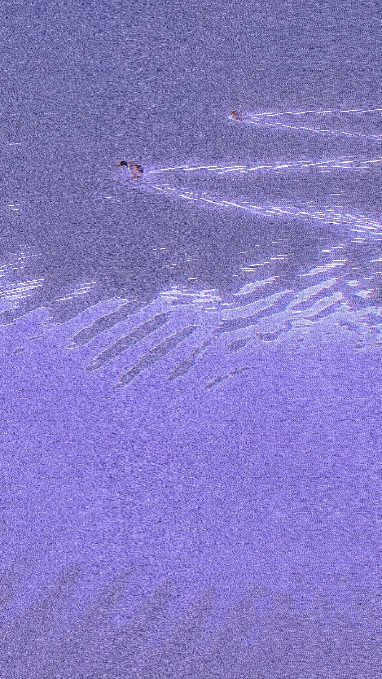 碎片3(手机摄影)