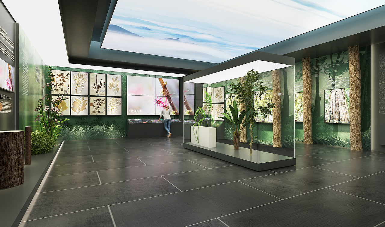 南邻自然博物馆-巍巍南岭-植物馆（图ZMzQyMzk0MTUy） - 展陈设计 - 站酷设计师成老头原创素材 - 站酷ZCOOL
