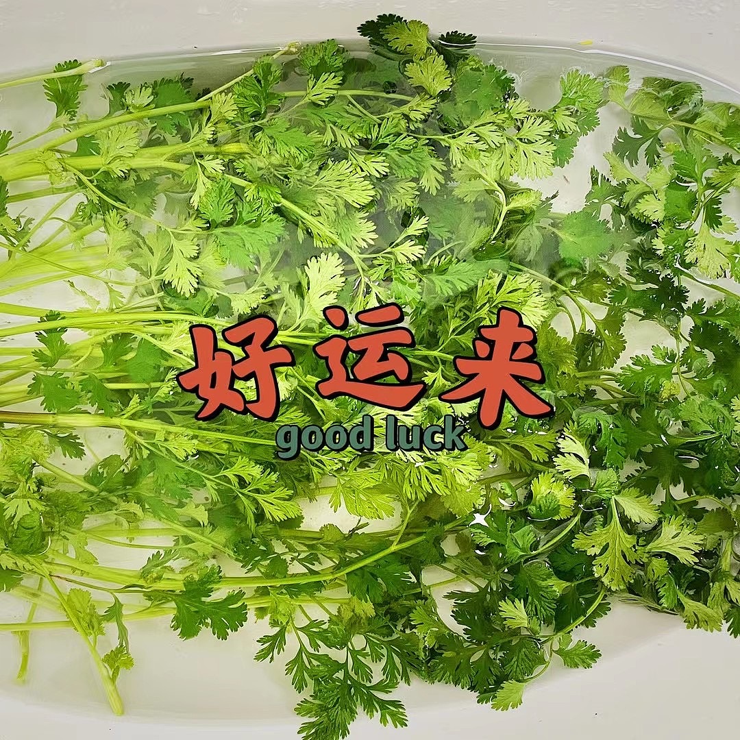 日常摄影练习2（图ZMzA1ODM2MTk2） - 人文/纪实摄影 - 站酷设计师cc今天努力了吗原创素材 - 站酷ZCOOL