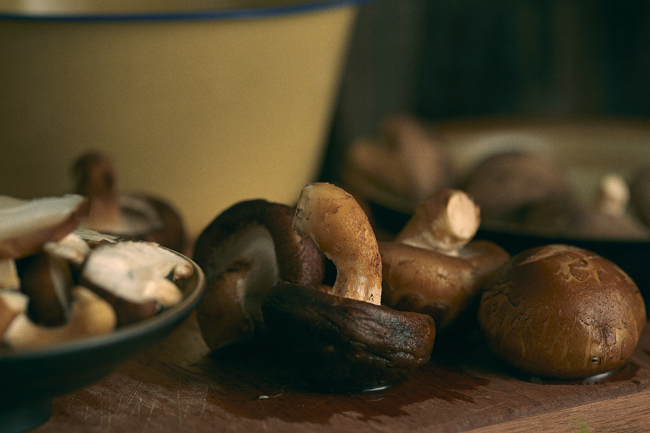 【国风静物】香菇