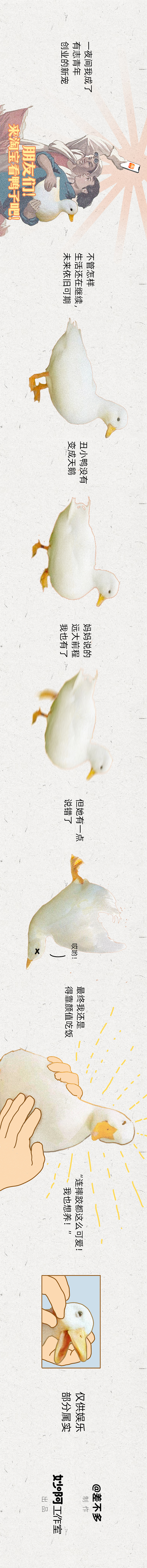 《科尔鸭发家史》