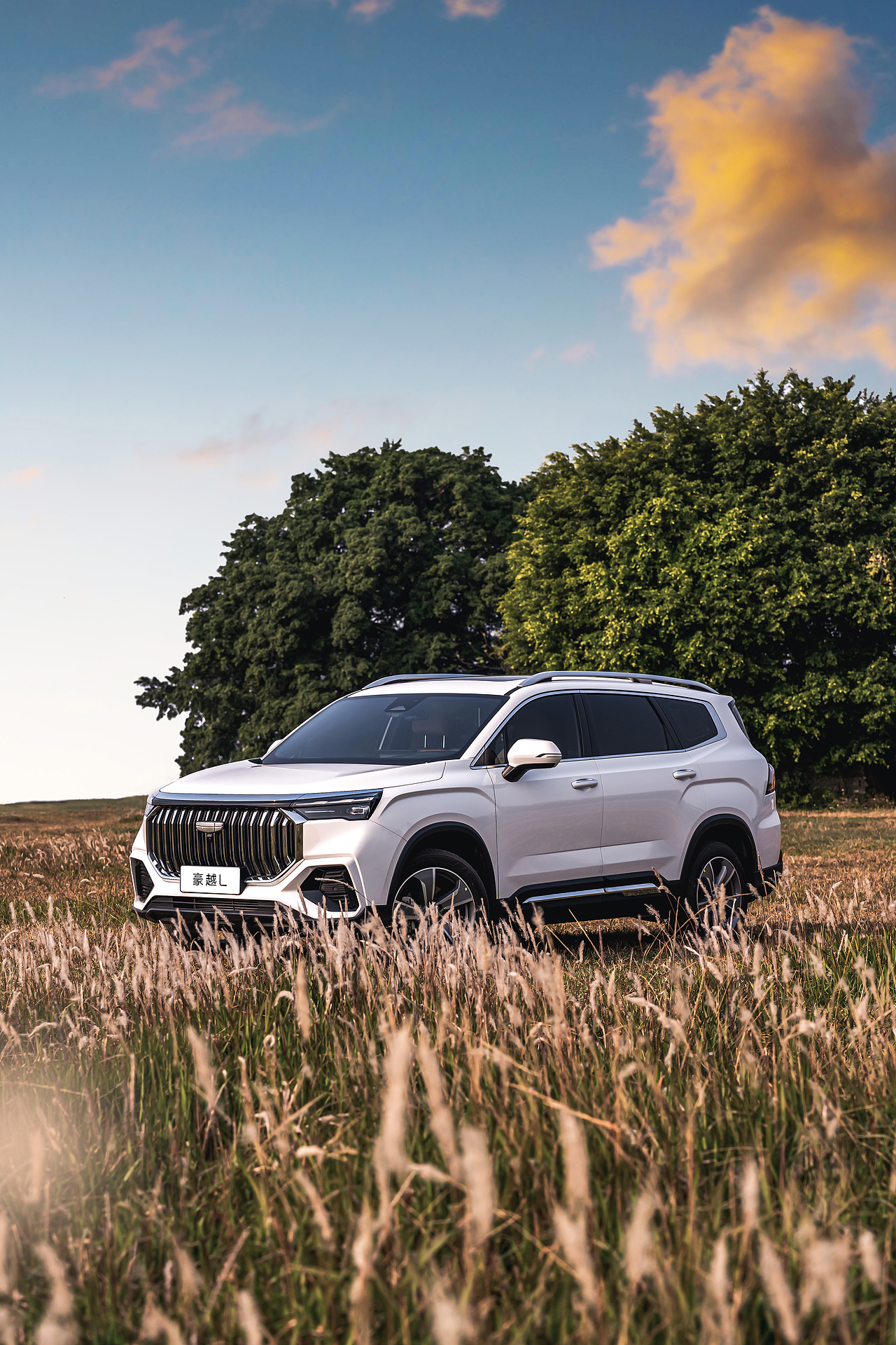 吉利-豪越L
