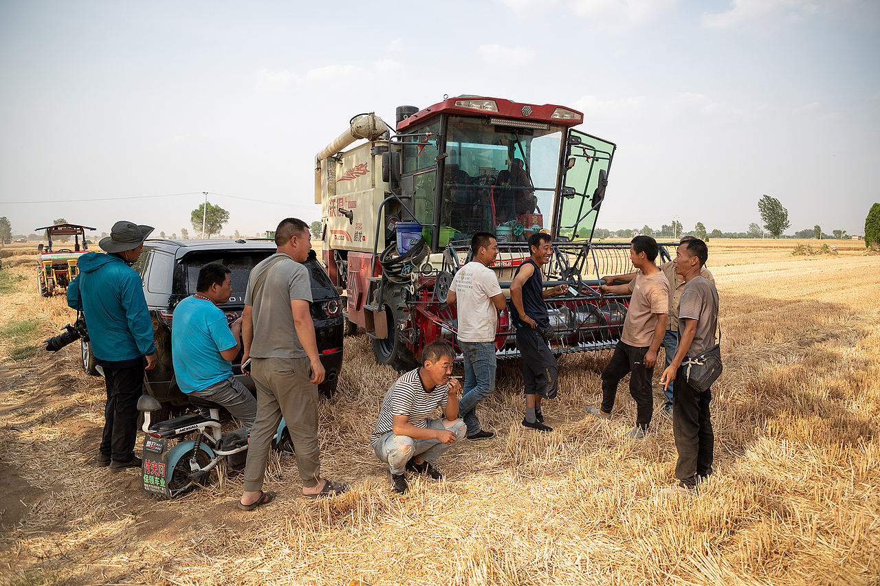 麦收现场