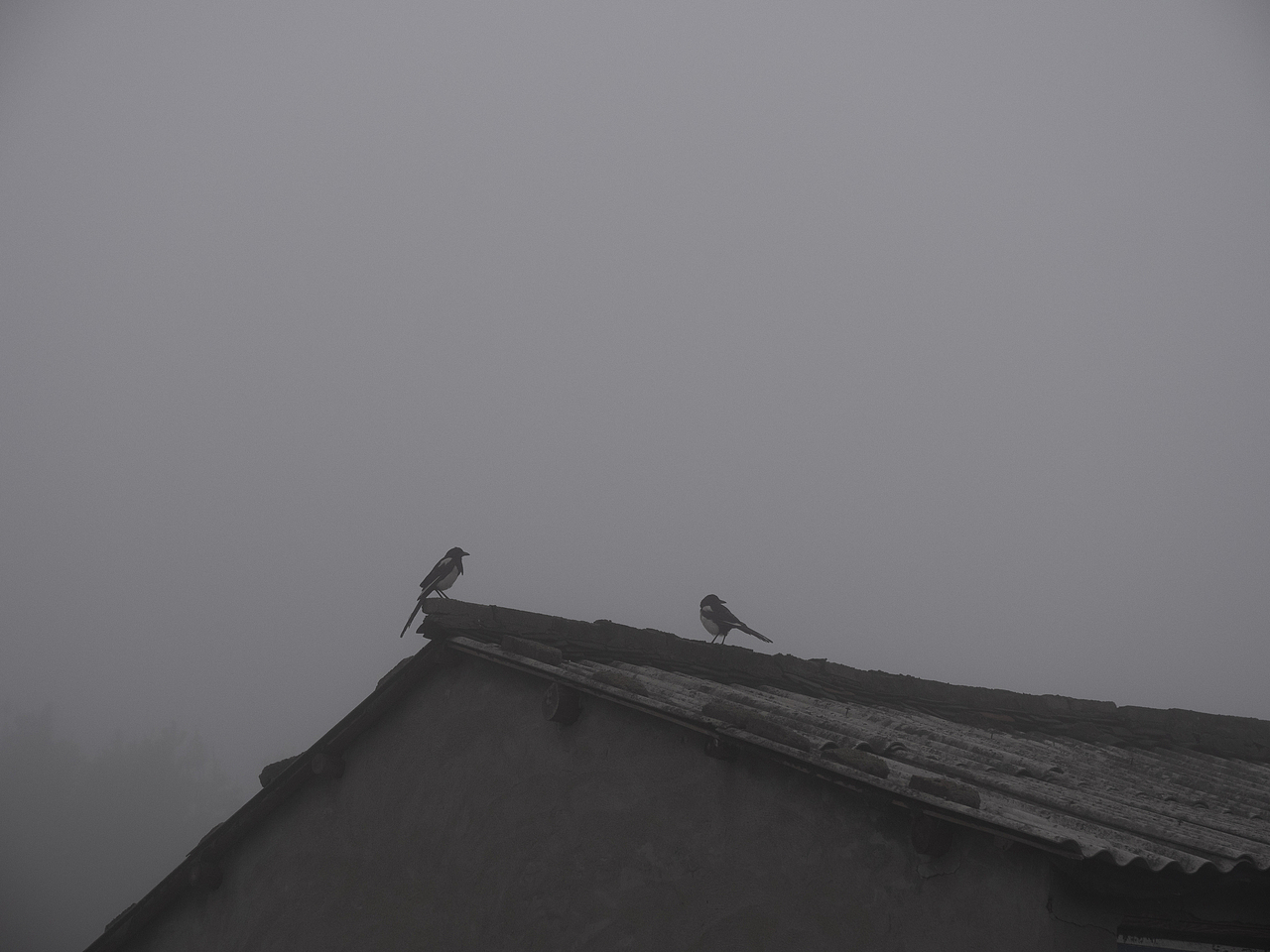 湖北微电影拍摄 随拍风景（图ZMzEzMjI2OTA0） - 风光摄影 - 站酷设计师摄影师车致原创素材 - 站酷ZCOOL