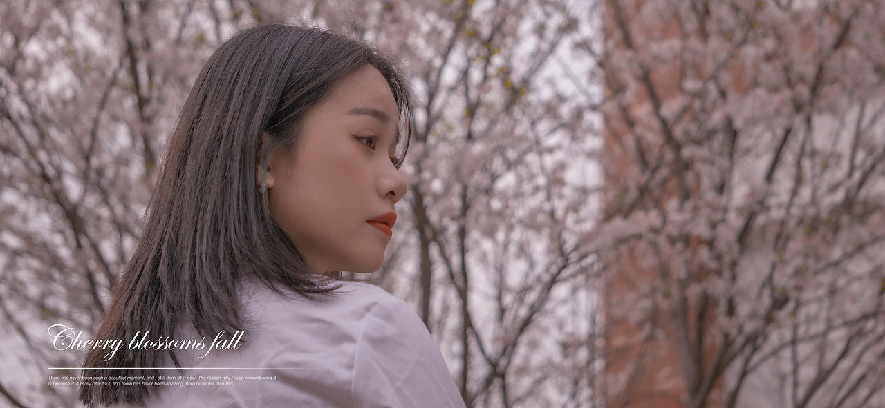 Passage 15.白樱