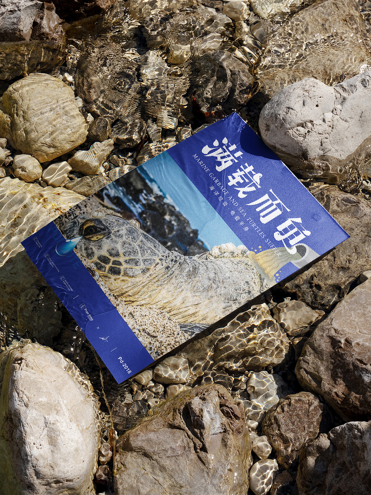 保护动物公益海报