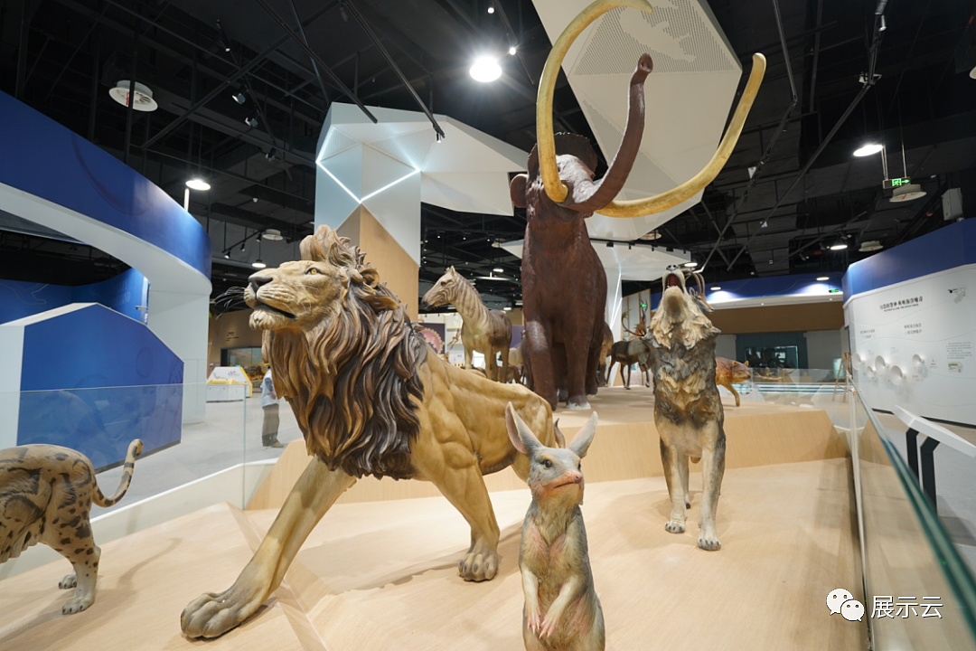 合肥市科技馆新馆