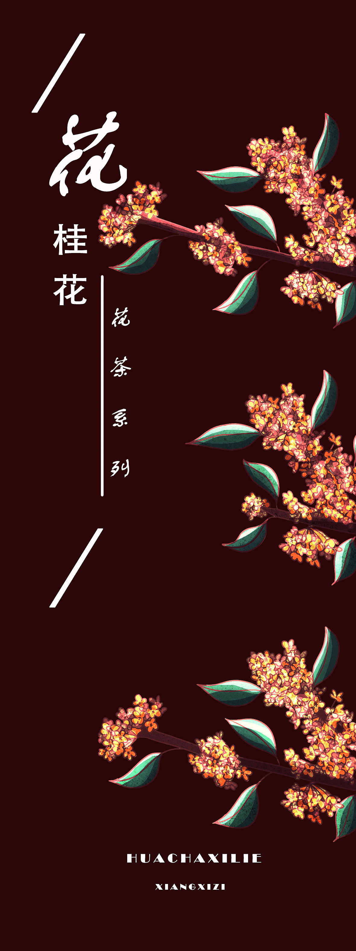 花茶海报系列/花茶种类