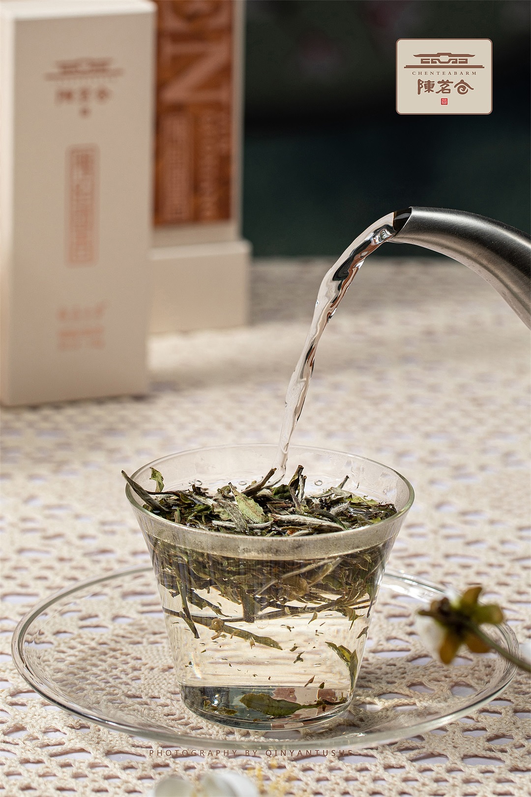 陈韵国香白牡丹——福鼎白茶产品拍摄