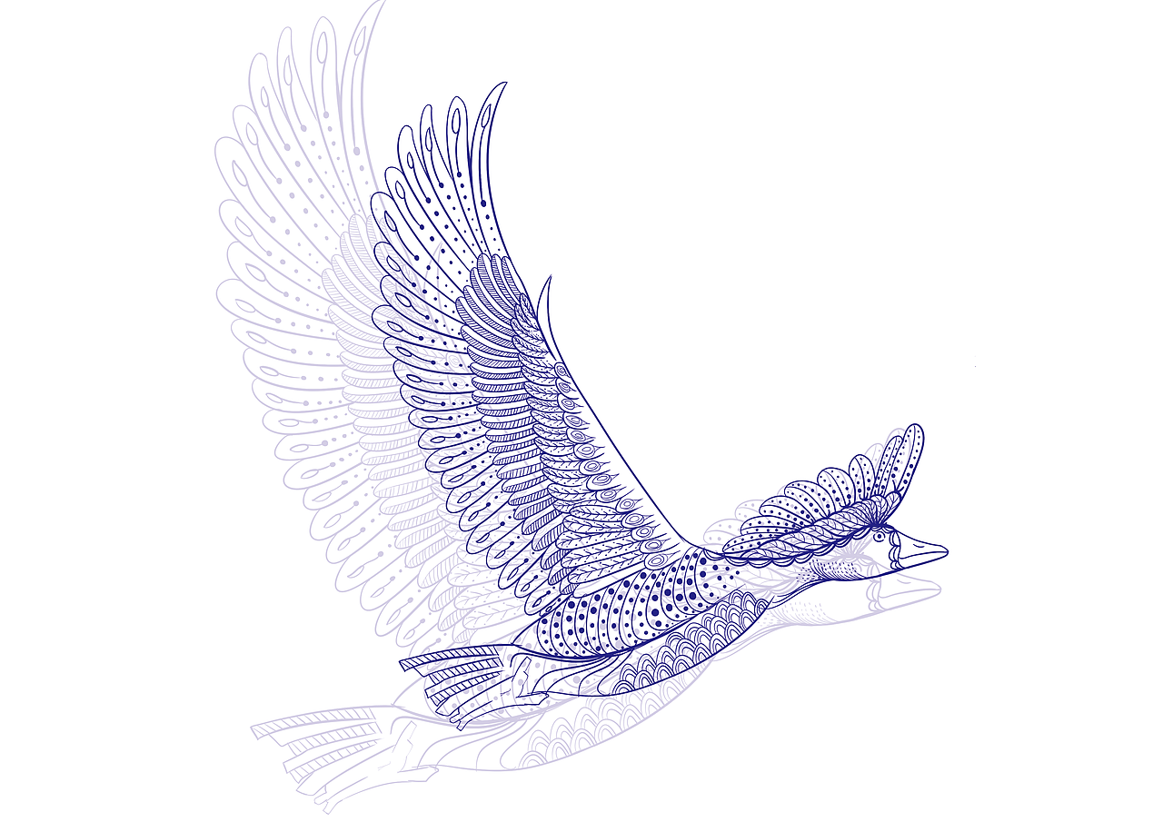 动物插画 版画装饰性插画鸭子插画天鹅插画鸵鸟大雁