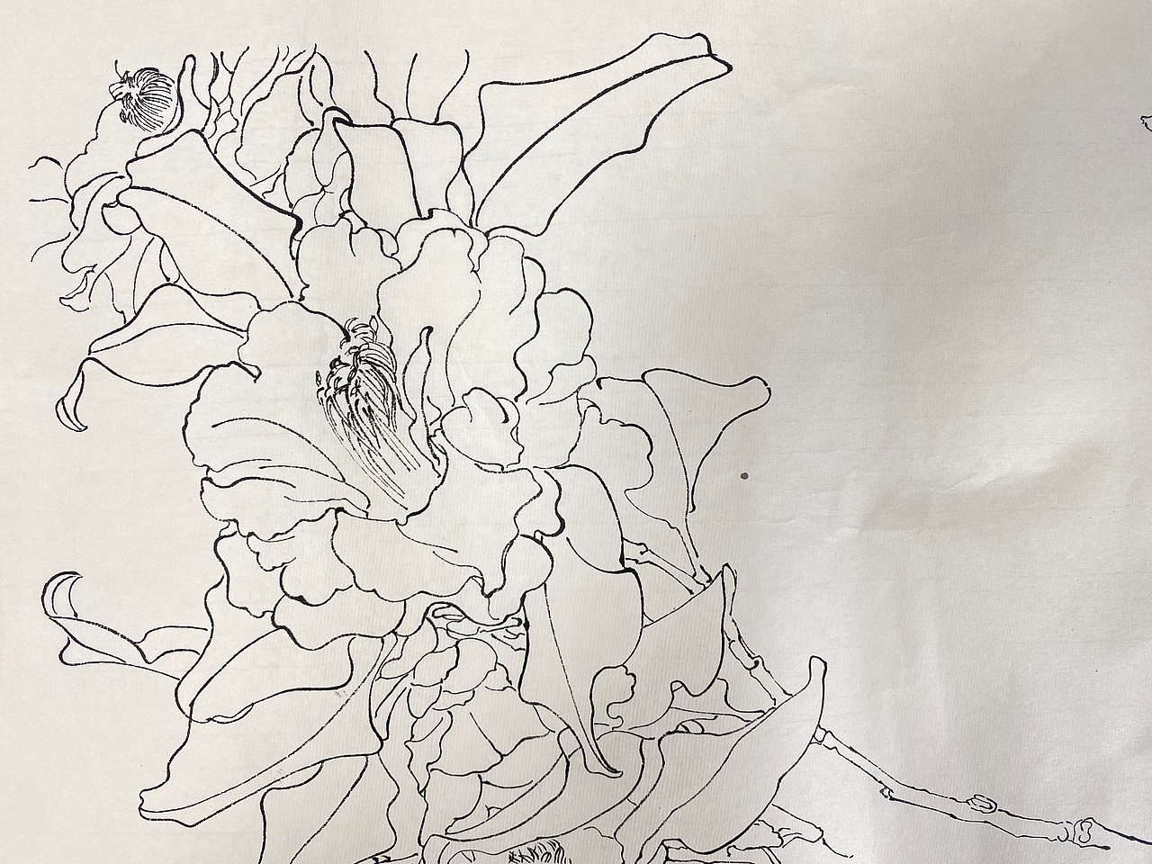 白描（图ZMzM2MjM1OTIw） - 绘画 - 站酷设计师章红红原创素材 - 站酷ZCOOL