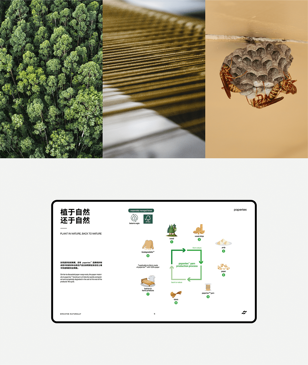 Papertex蜂络品牌全案设计