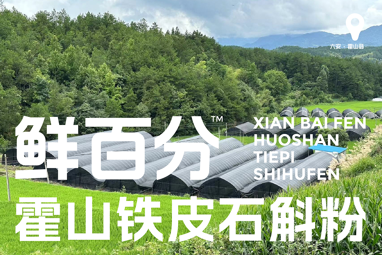 鲜百分霍山铁皮石斛粉包装设计（图ZMzU1MjIyOTY4） - 包装 - 站酷设计师TDOT原创素材 - 站酷ZCOOL