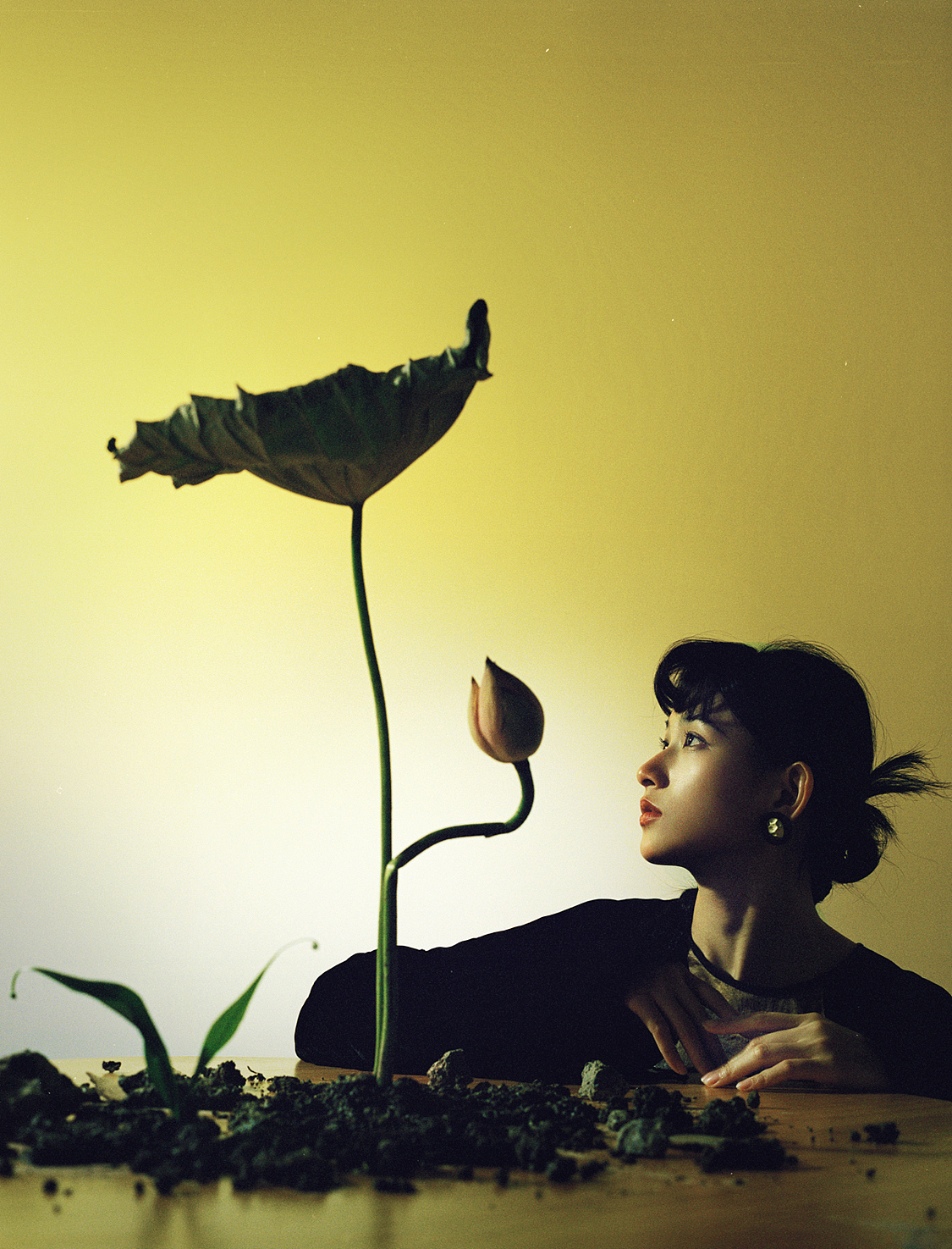 起舞弄清影,何似在人间。